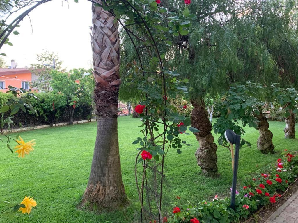 B&B The Garden Pescara Exterior photo